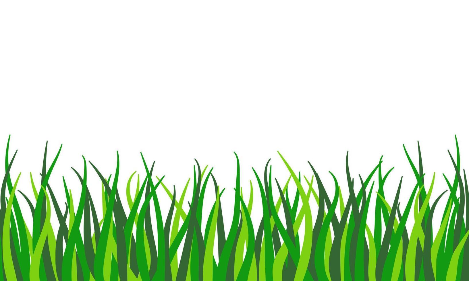 Green Grass Border. Spring and Summer Plant, Field, Lawn, Meadow vector