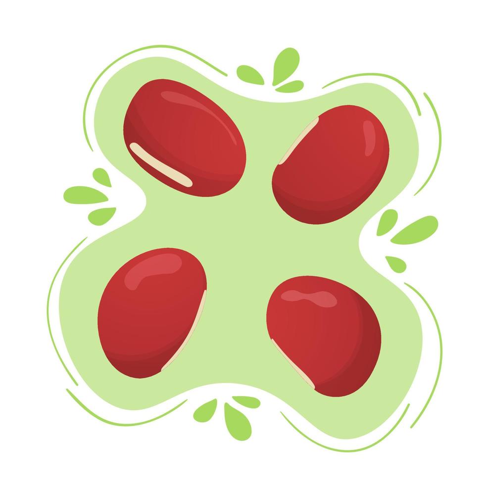 Red Adzuki beans or Japanese bean.Cute flat design. Vegetarian protein source. Organic legume for healthy food. Nutrition design. World Pulses Day. Cultivating pulses. vector