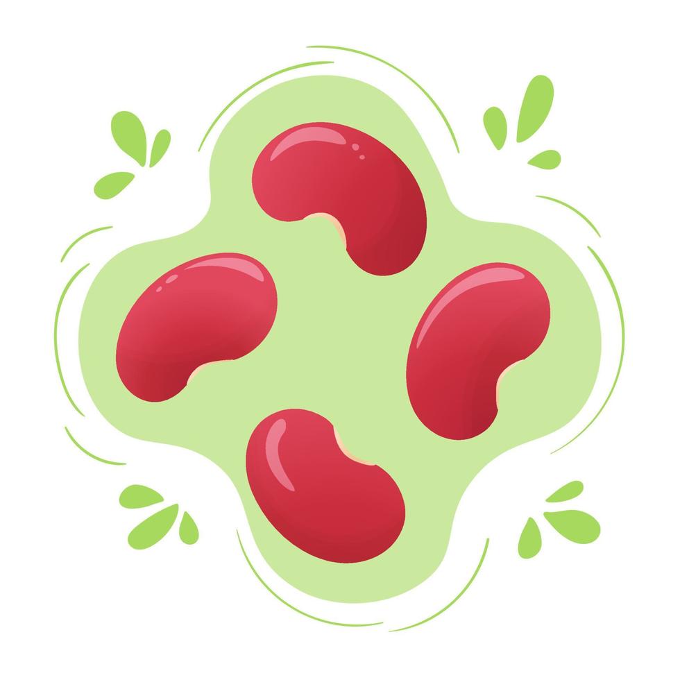 Fresh red kidney beans.  Cute flat design. Vegetarian protein source. Organic legume for healthy food. Nutrition design. World Pulses Day. Cultivating pulses. vector