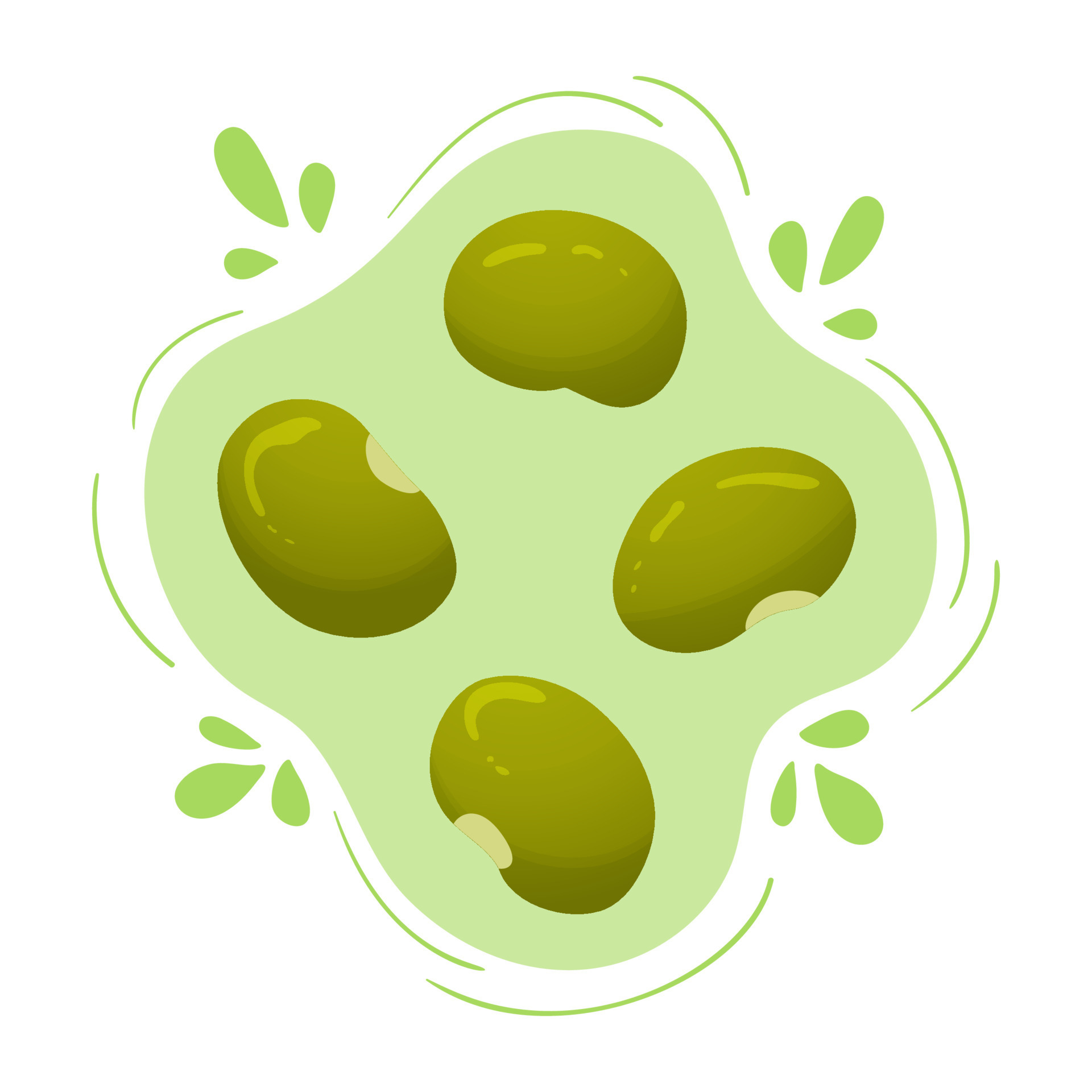Fresh green lima beans. Cute flat design. Vegetarian protein source