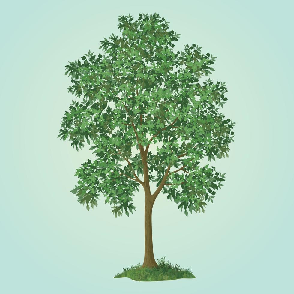 Free vector tree vector illustration