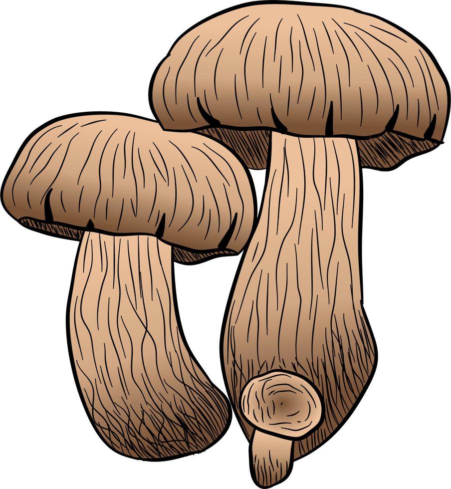Hand drawn sketch style fresh fram mushrooms compositions set. Champignons, oysters, chanterelles and porcini mushrooms. Organic eco raw food vector illustrations isolated on white background.