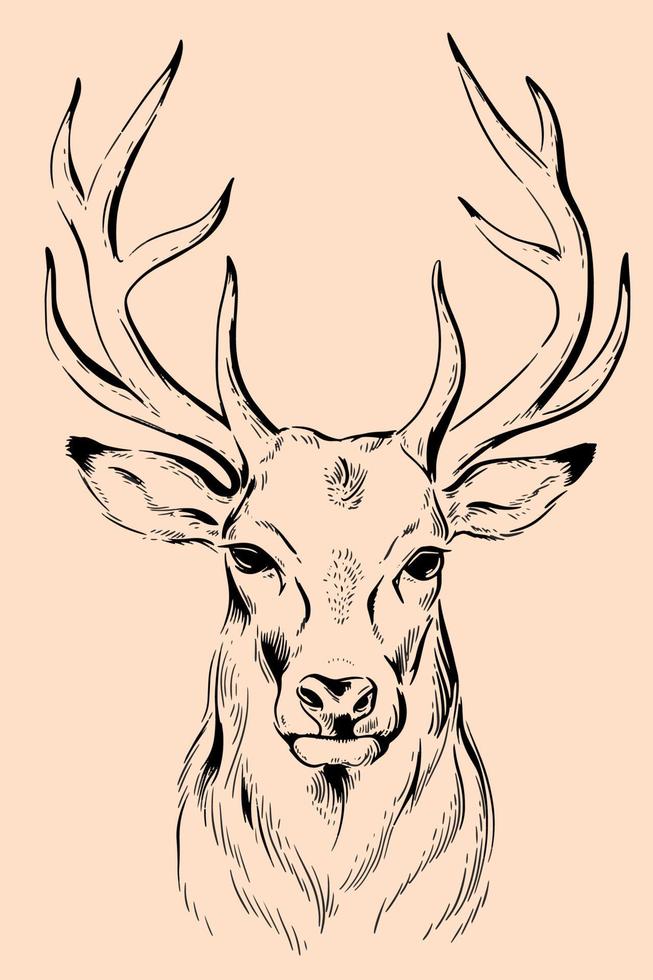 Illustration of a deer vector