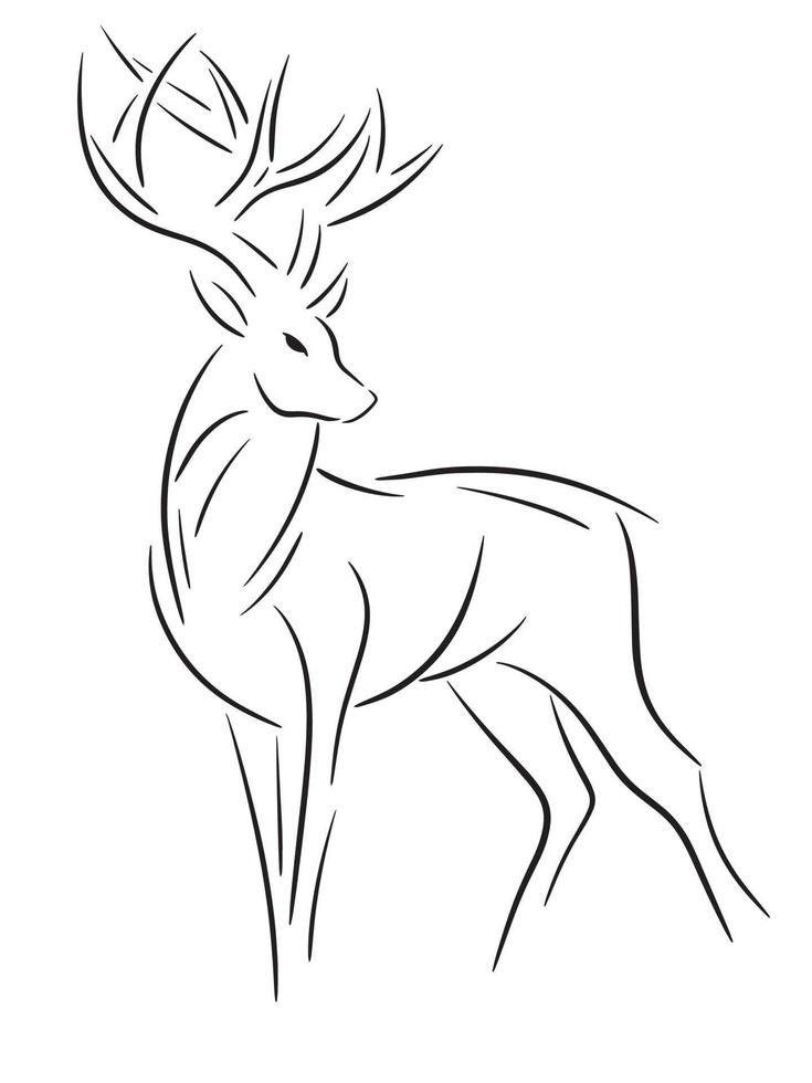 Illustration of a deer vector