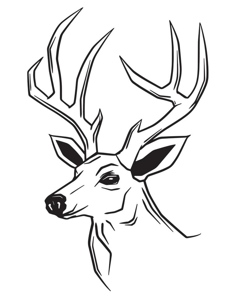 Illustration of a deer vector