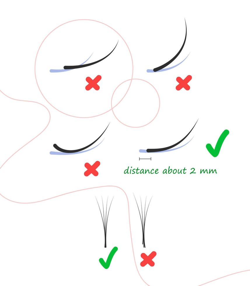 Eyelash extension training poster. Tips and tricks for eyelash extensions. information about eyelash extension Correct and incorrect extension. vector
