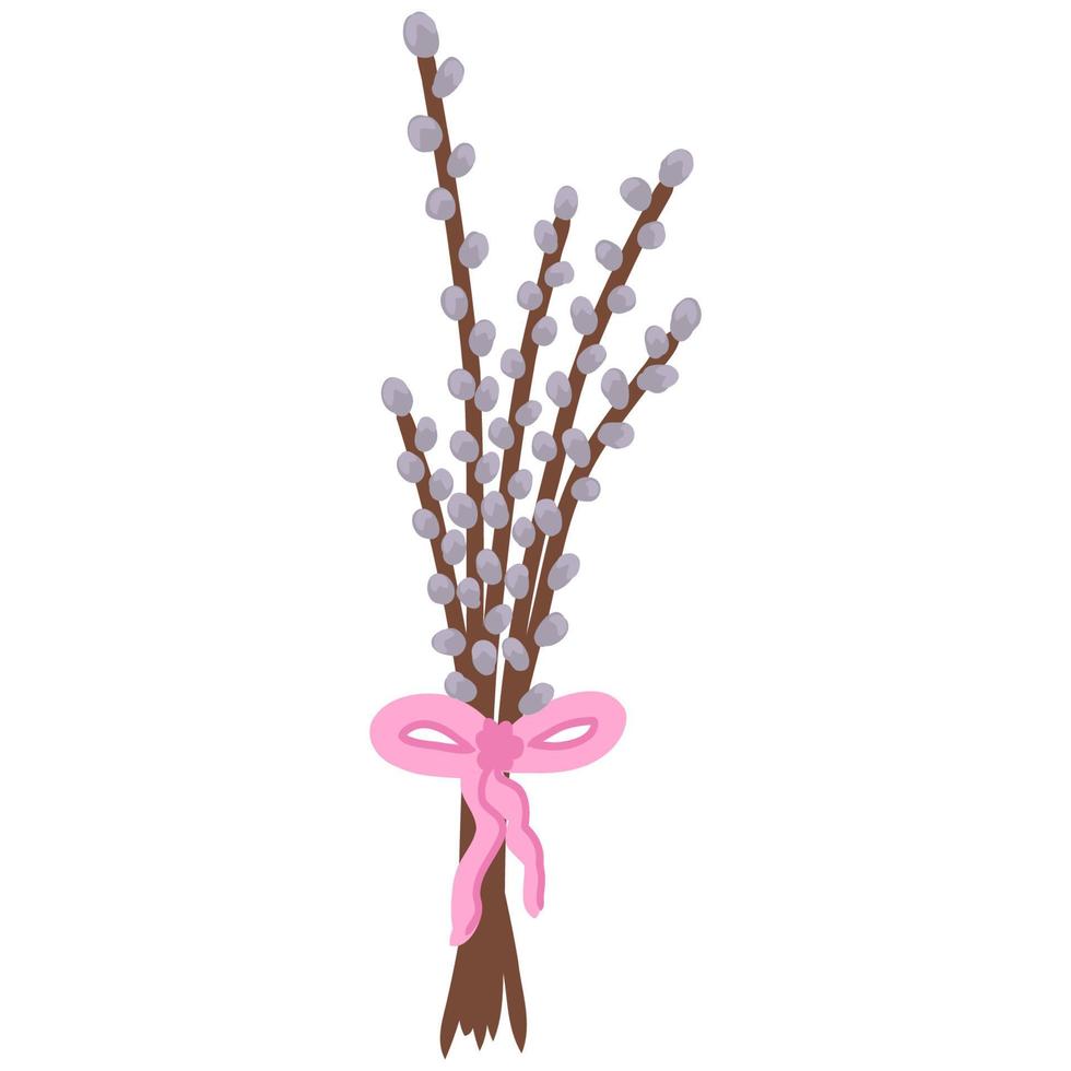 Spring willow seals on white background.Blooming willow twigs illustration in flat style,Easter decor. Bouquet with pussy tree buds. Willow branch for greeting cards, poster,banner vector
