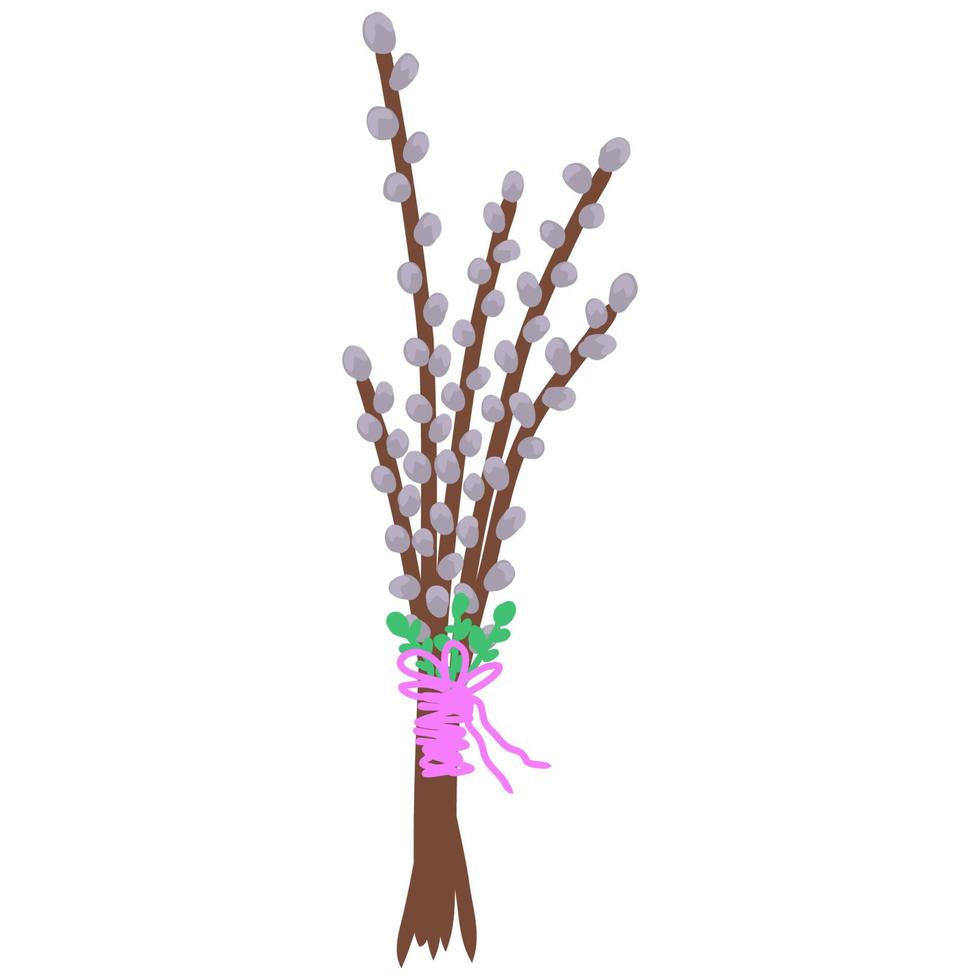 Spring willow seals on white background.Blooming willow twigs illustration in flat style,Easter decor. Bouquet with pussy tree buds. Willow branch for greeting cards, poster,banner vector