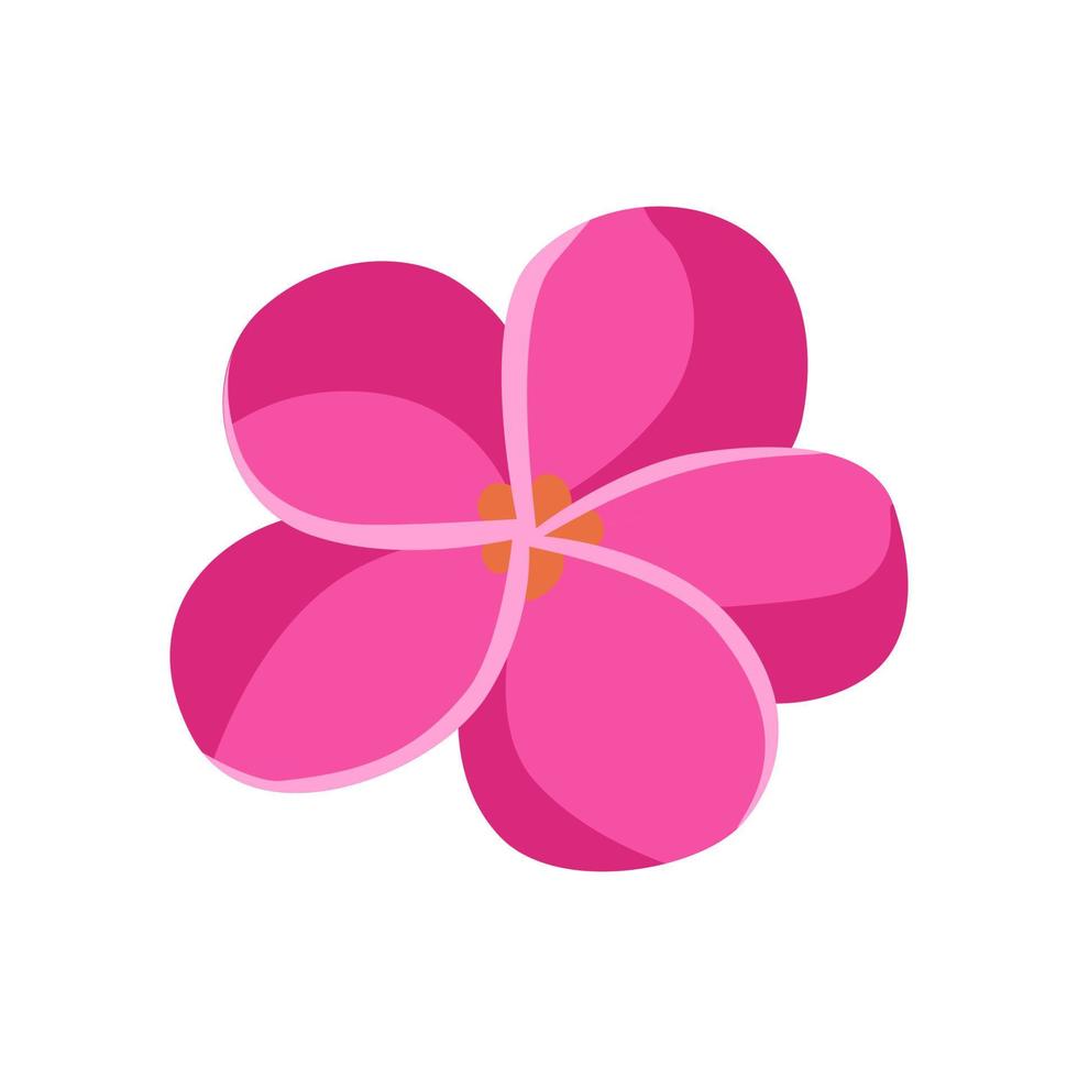 Plumeria flower icon vector