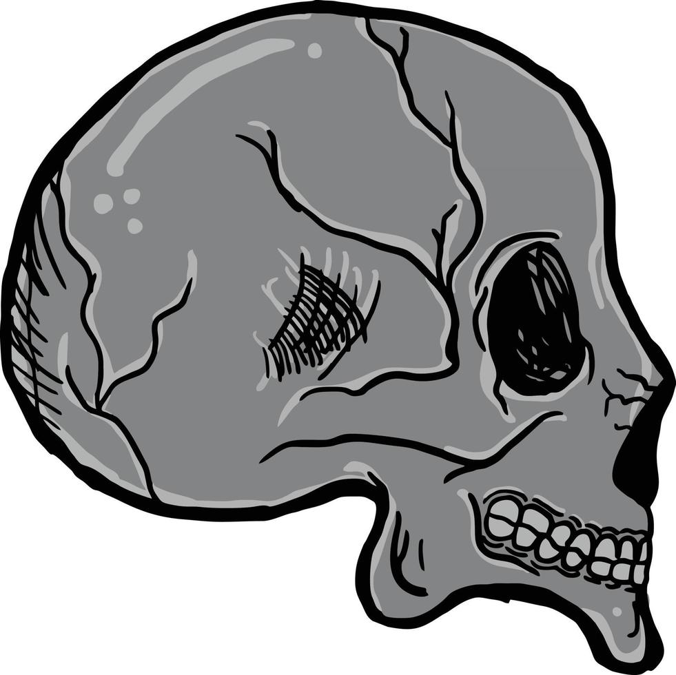 Skull art vector stock Image Illustrations