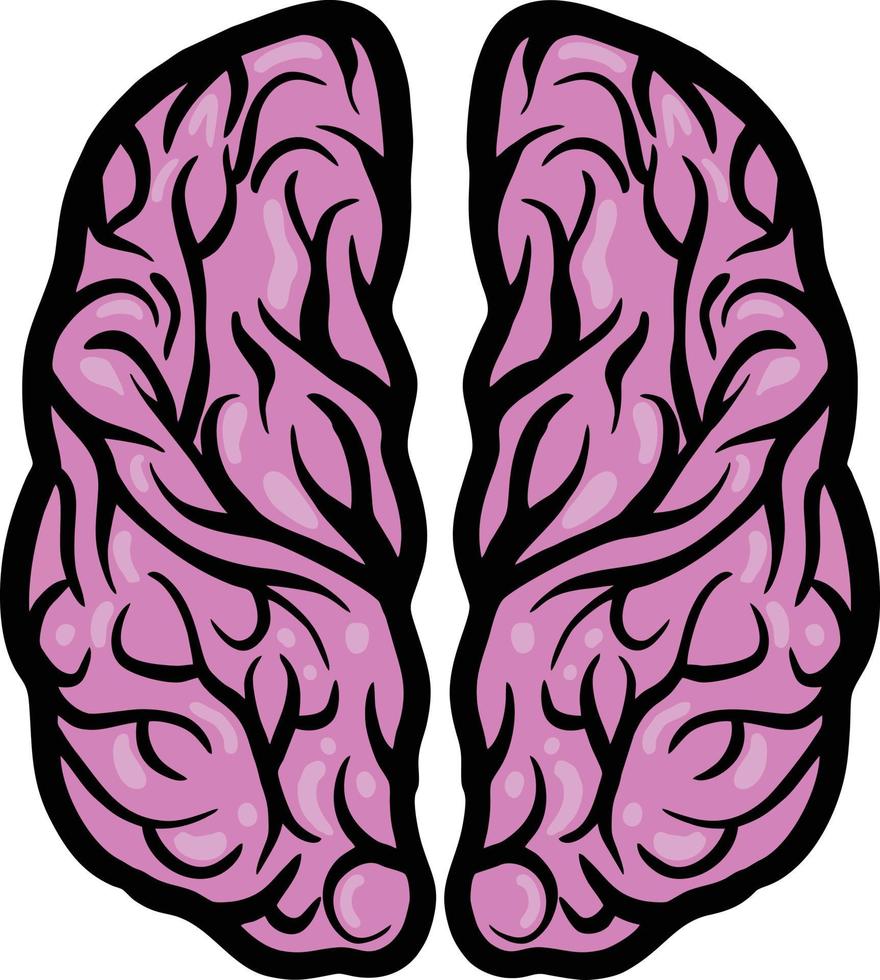 Pink human Brain Stock vector illustrations