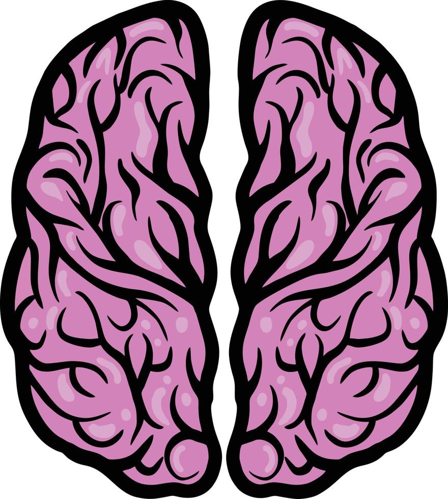 rosado humano cerebro valores vector ilustraciones