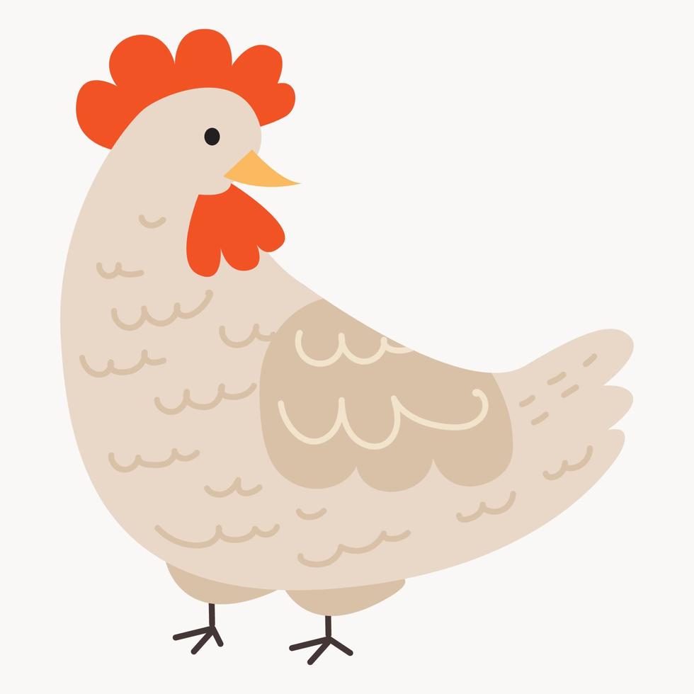 Chickens set vector illustration in Color. Brown and white Hen and Rooster. Male and female chickens set.