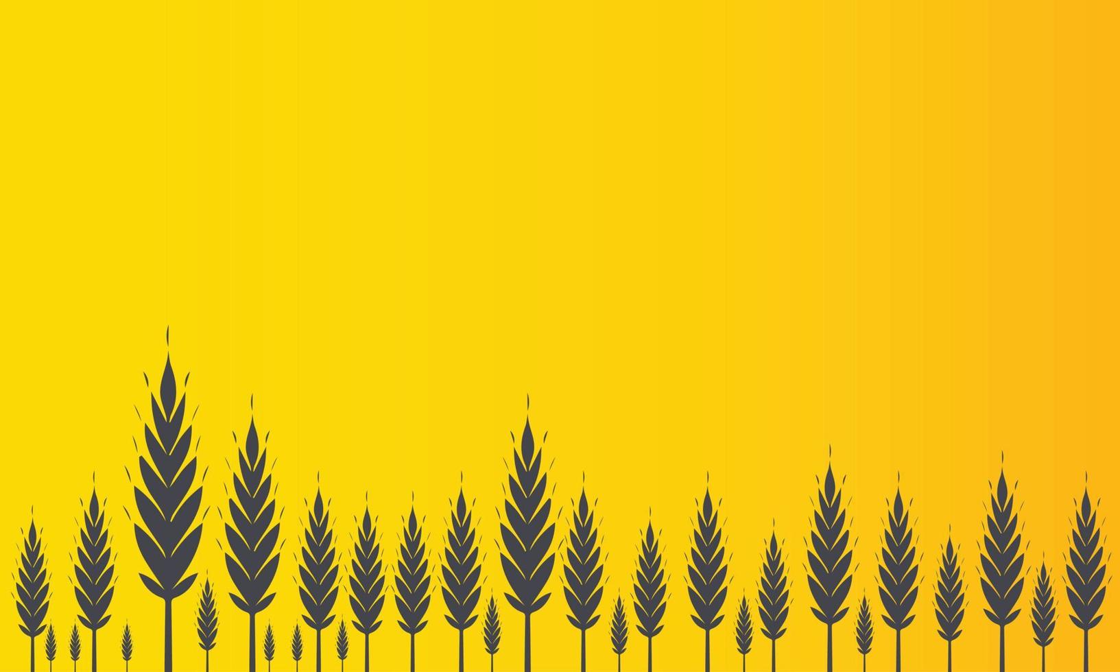 grain and rice field background or paddy isolated in gradient yellow background 2 with copy space area vector