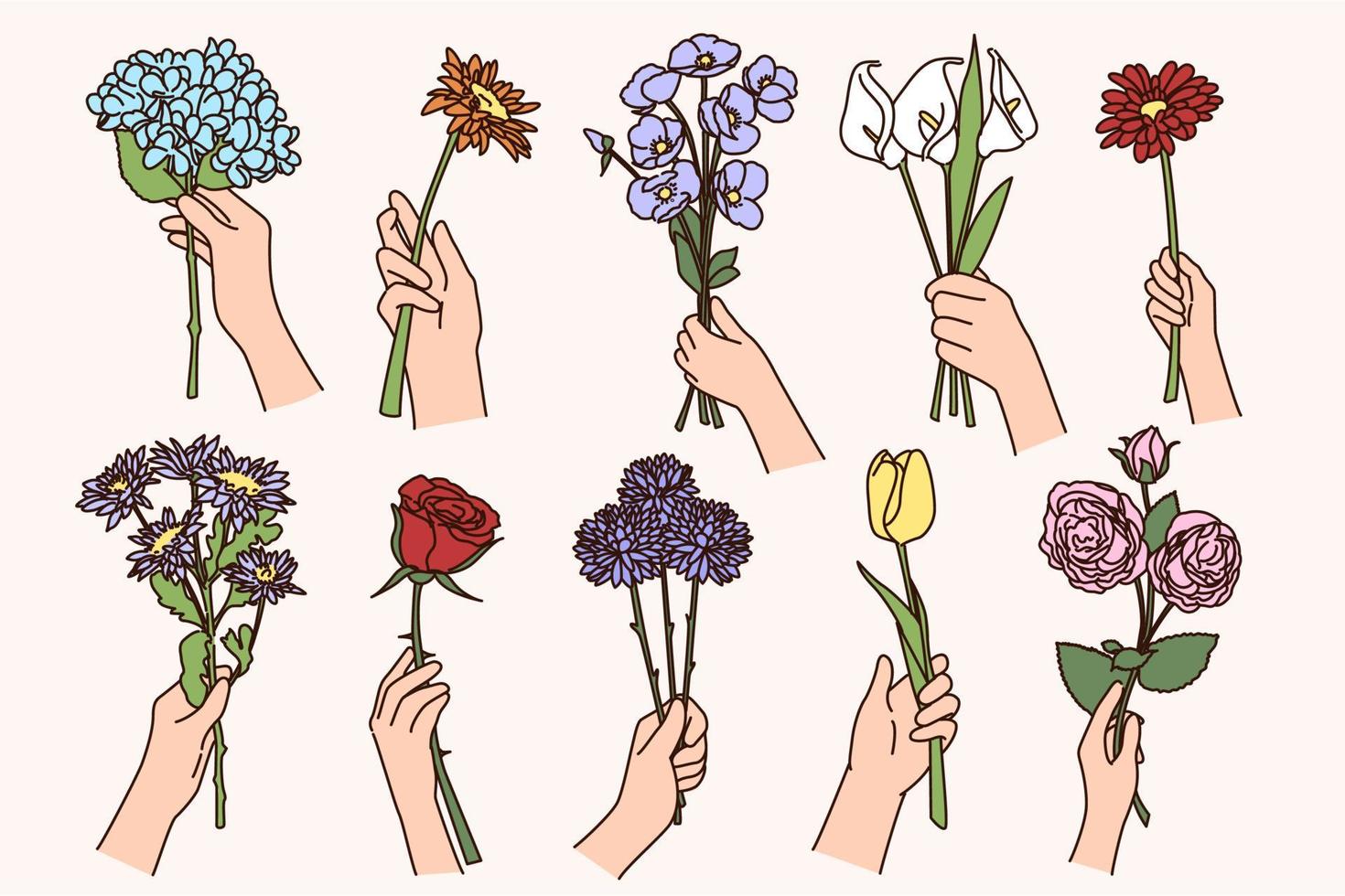 Set of people hands holding various flowers. Collection of persons with floral bouquet or compositions greet congratulate with special occasion. Botany, florist occupation. Vector illustration.