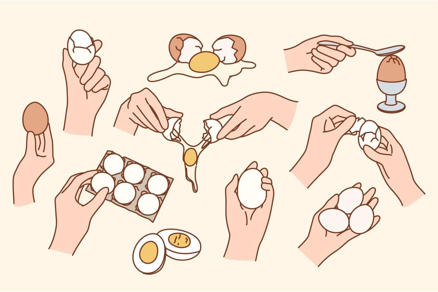 Set of raw, broken and boiled chicken eggs. Collection of whole and crashed white and yolk. Poultry and farming, eco and bio products concept. Flat vector illustration.