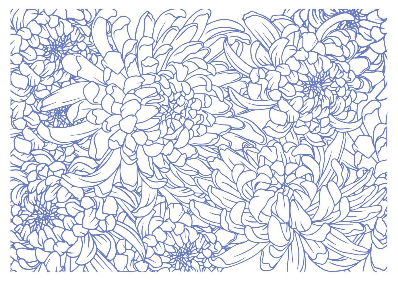 Hand drawn chrysanthemum flower pattern background vector