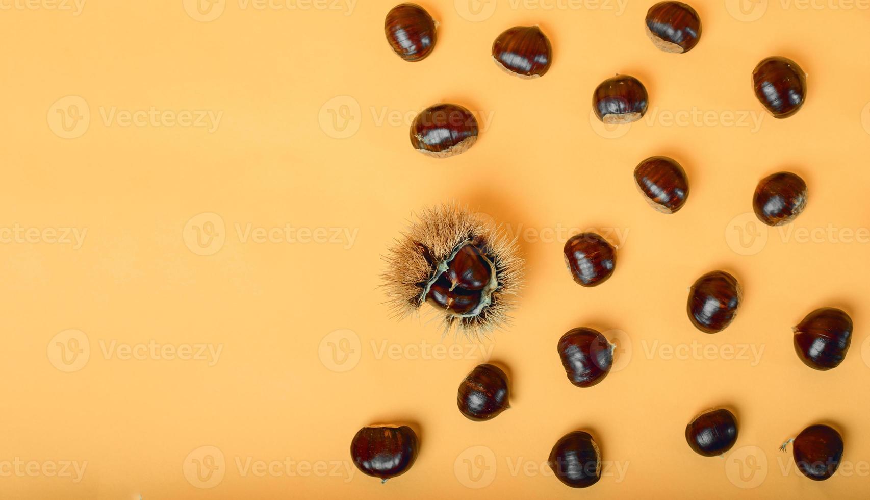 Stylish composition of chestnut on yellow background photo