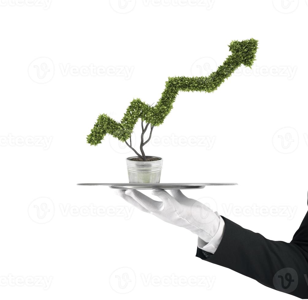 Waiter that holds a tray with a plant shaped as statistic arrow. Concept business success photo