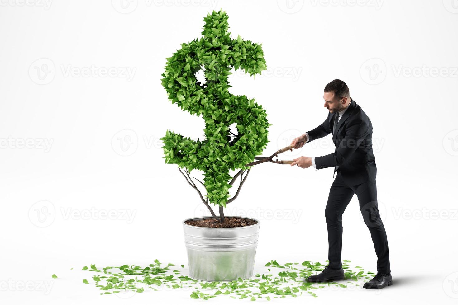 Potted plant with dollar shape. 3D Rendering photo