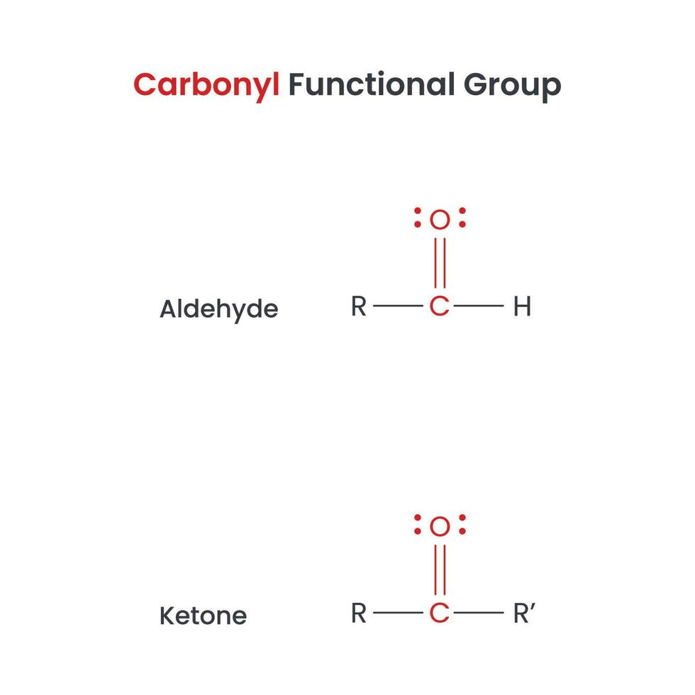 Carbonyl Biochemistry Functional Groups Aldehyde and Ketone vector science infographic
