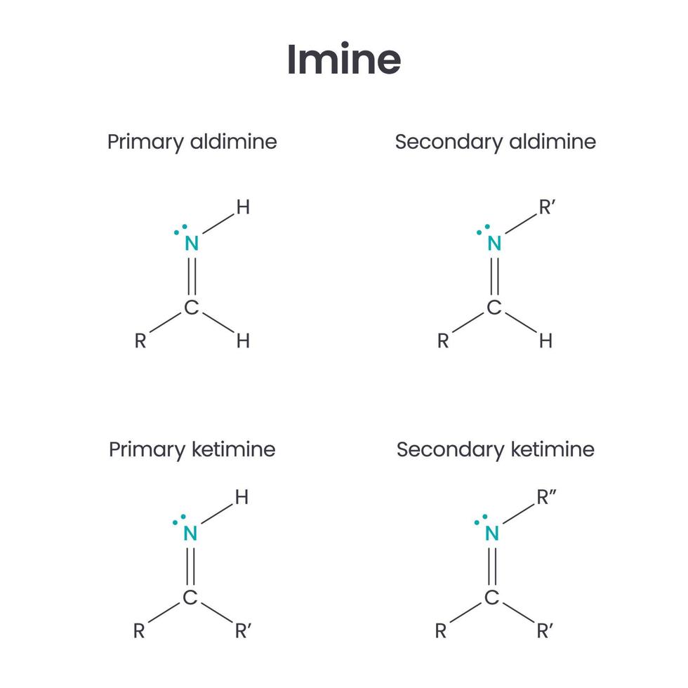 imine-biochemistry-functional-group-science-vector-illustration