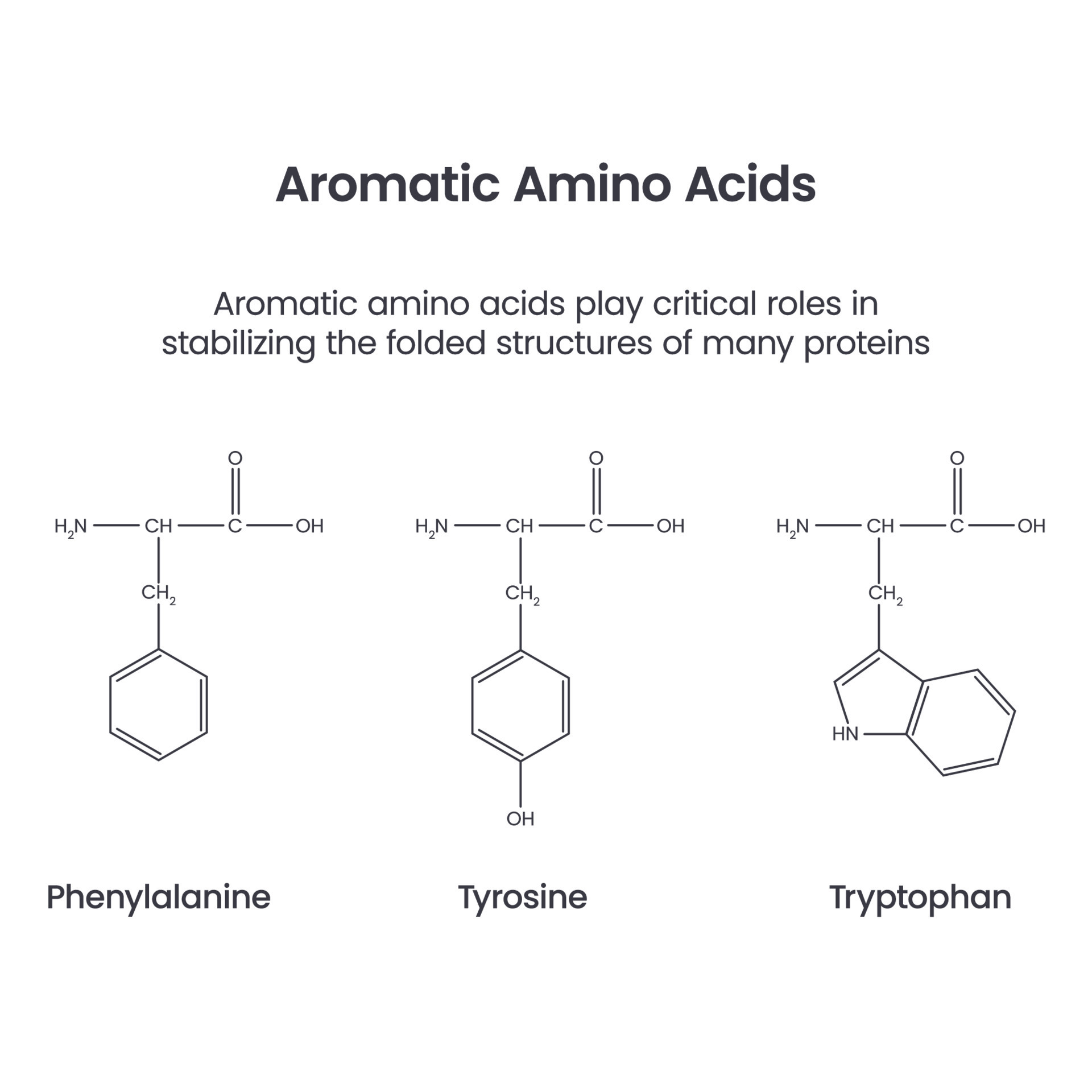 Aromatic Amino Acids biochemistry science vector infographic 20561311