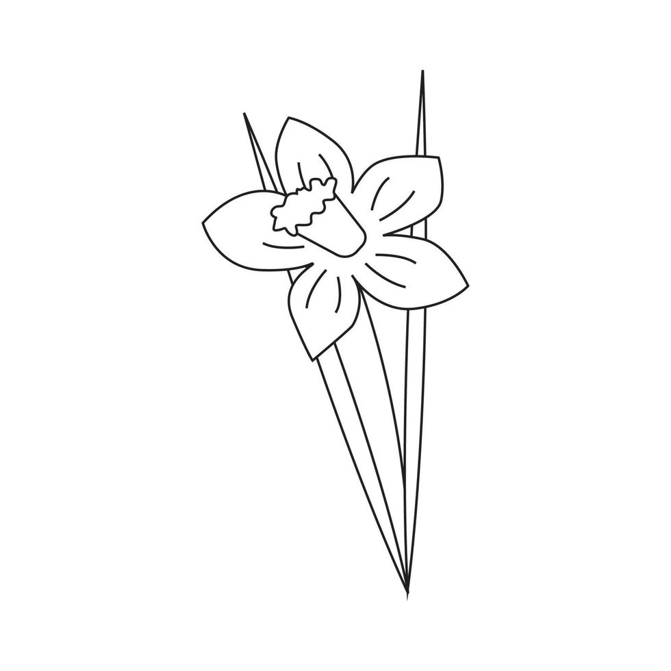 Hand drawn spring flower with leaves. vector