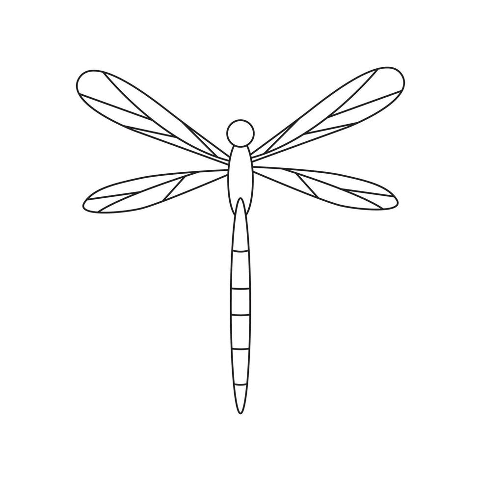 Hand drawn dragonfly illustration. Isolated on white background vector