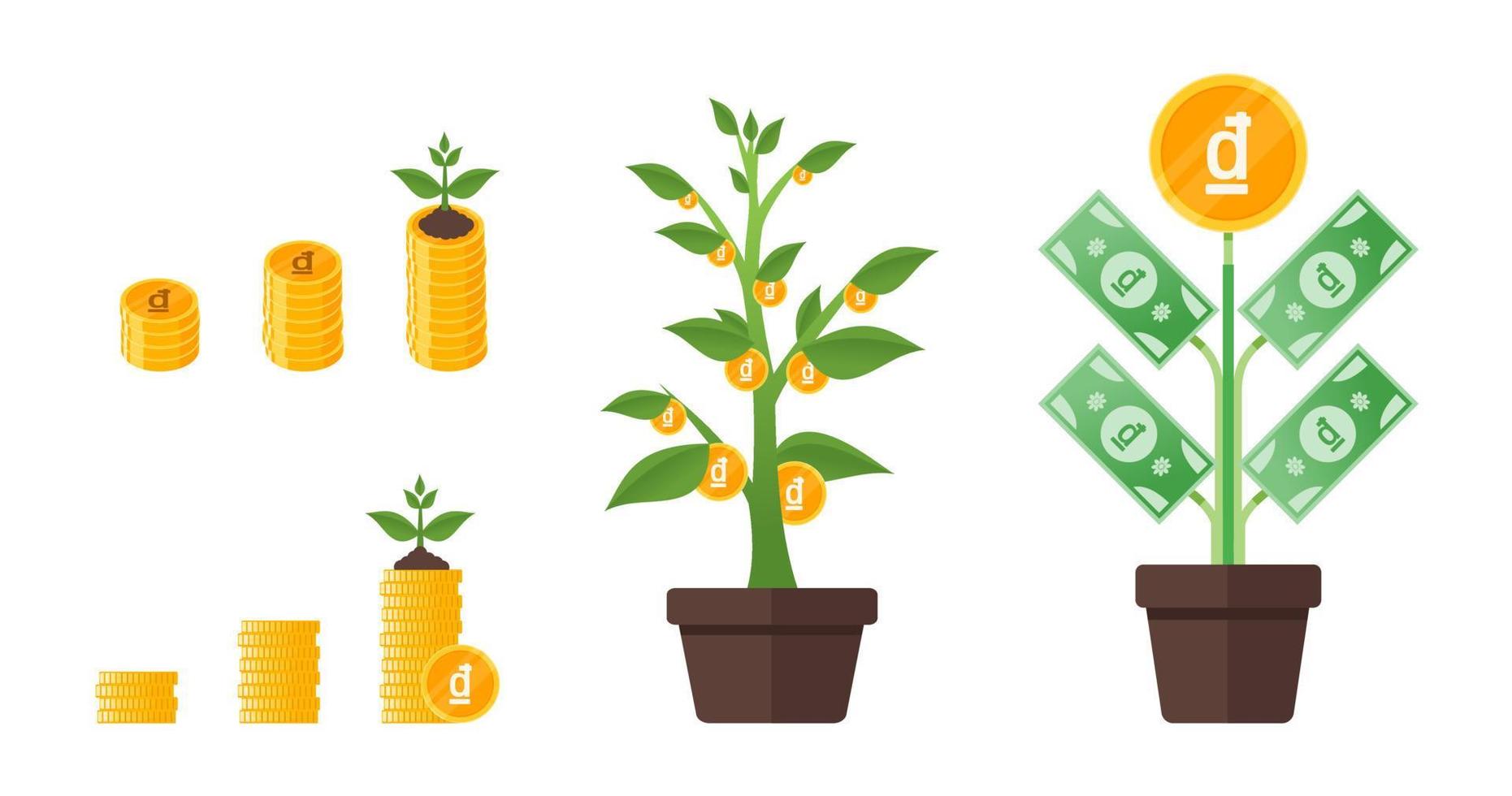 Vietnamese Dong Money Tree Growing vector