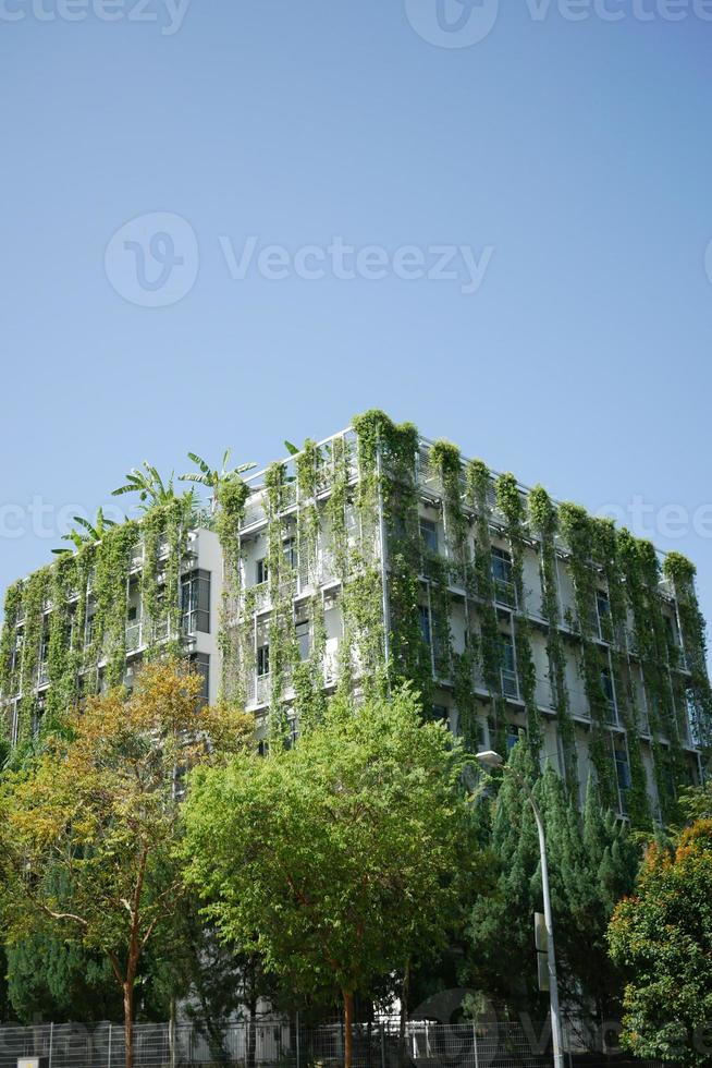 edificio con plantas que crecen en la fachada foto