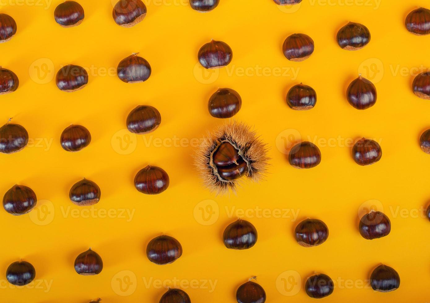 Stylish composition of chestnut on yellow background photo