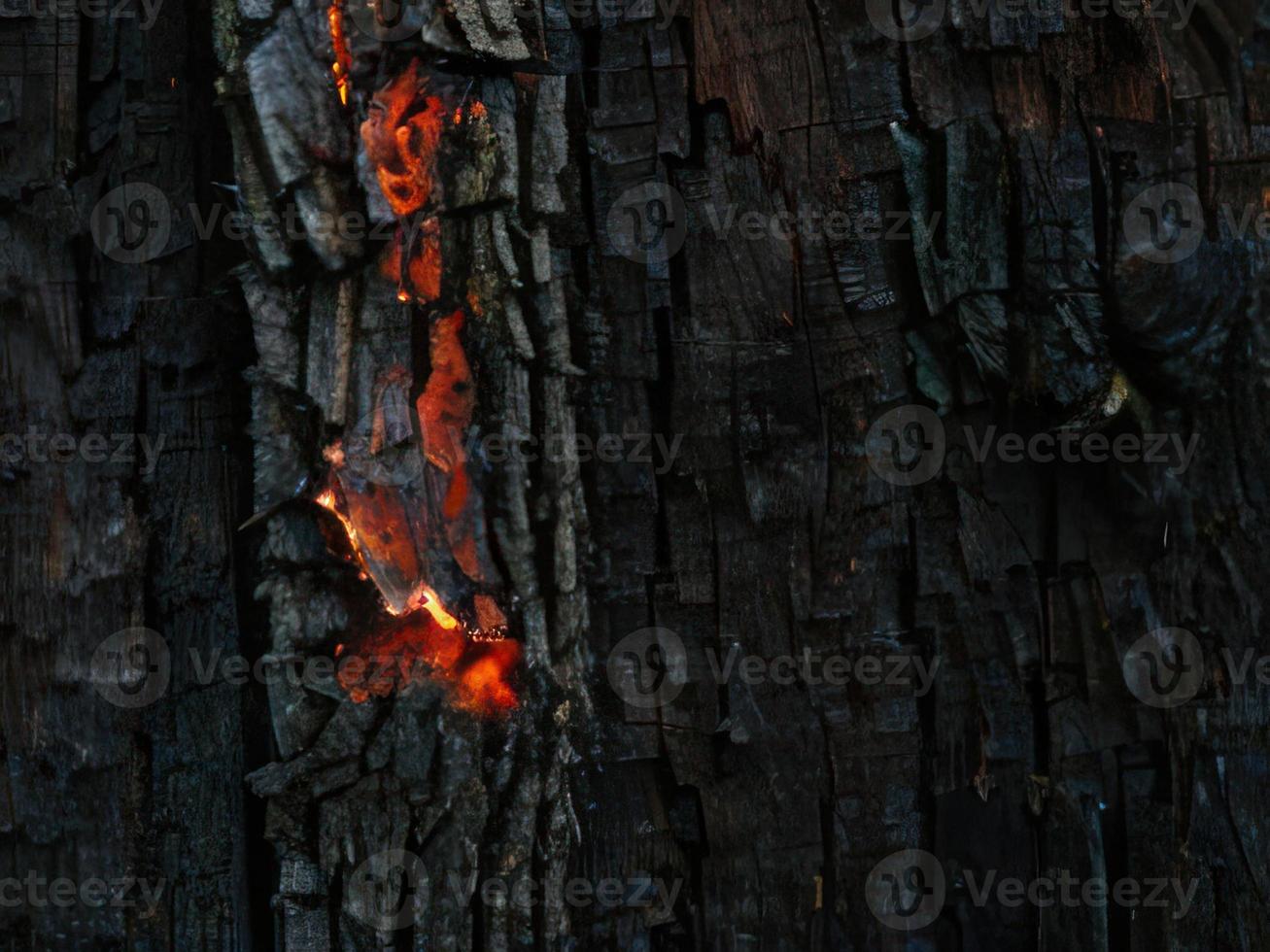 burned wood texture background photo