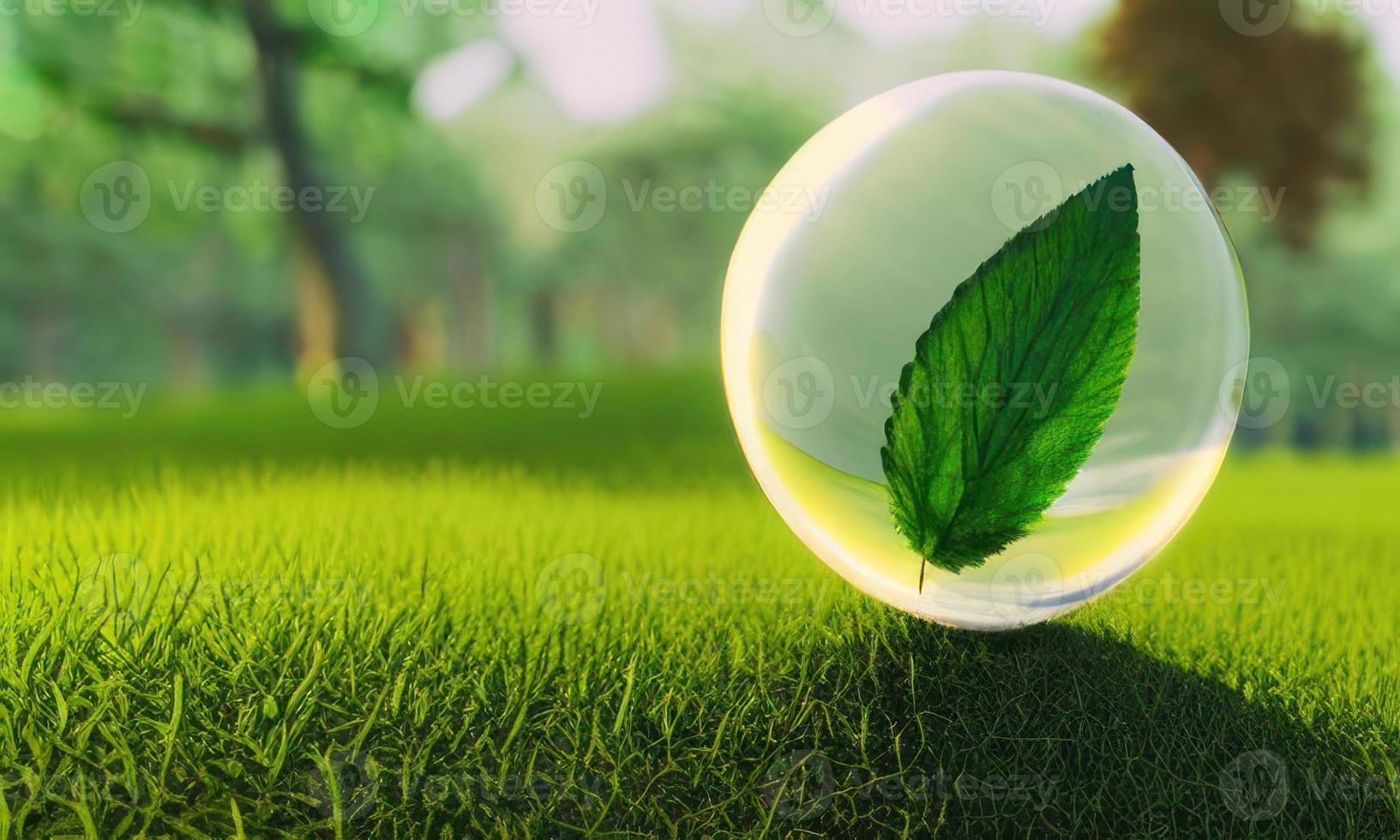 hoja en el vaso esfera foto