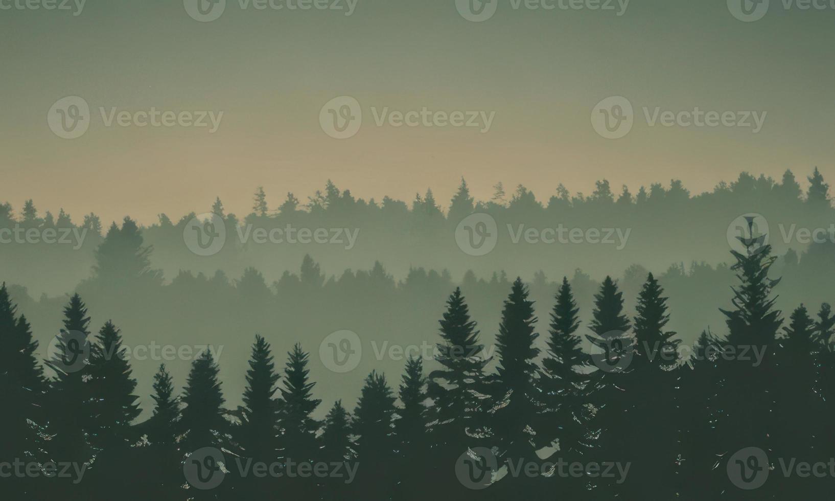 forest in the mountains background, trees silhouette background photo