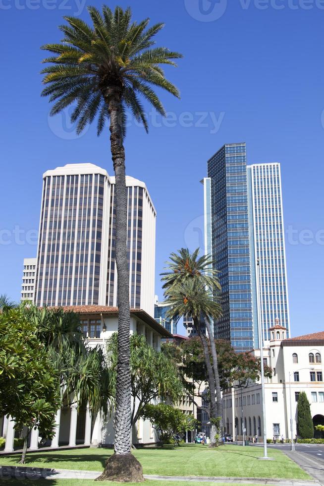 Honolulu Downtown Skyline With A Palm Tree photo