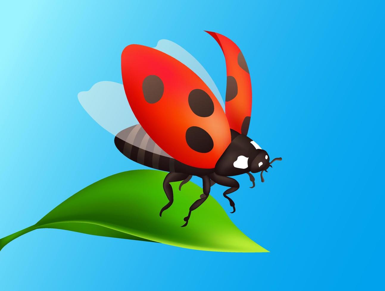 Ladybug, ladybird illustration. Flying ladybird. Nature realistic macro illustration, design for biology book. Red Insect flying from the green leaf. Blue sky background. vector
