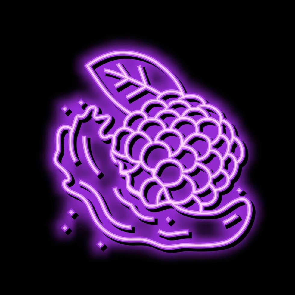 splash juice blackberry neon glow icon illustration vector