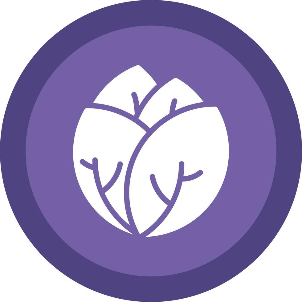 Cabbage Vector Icon Design