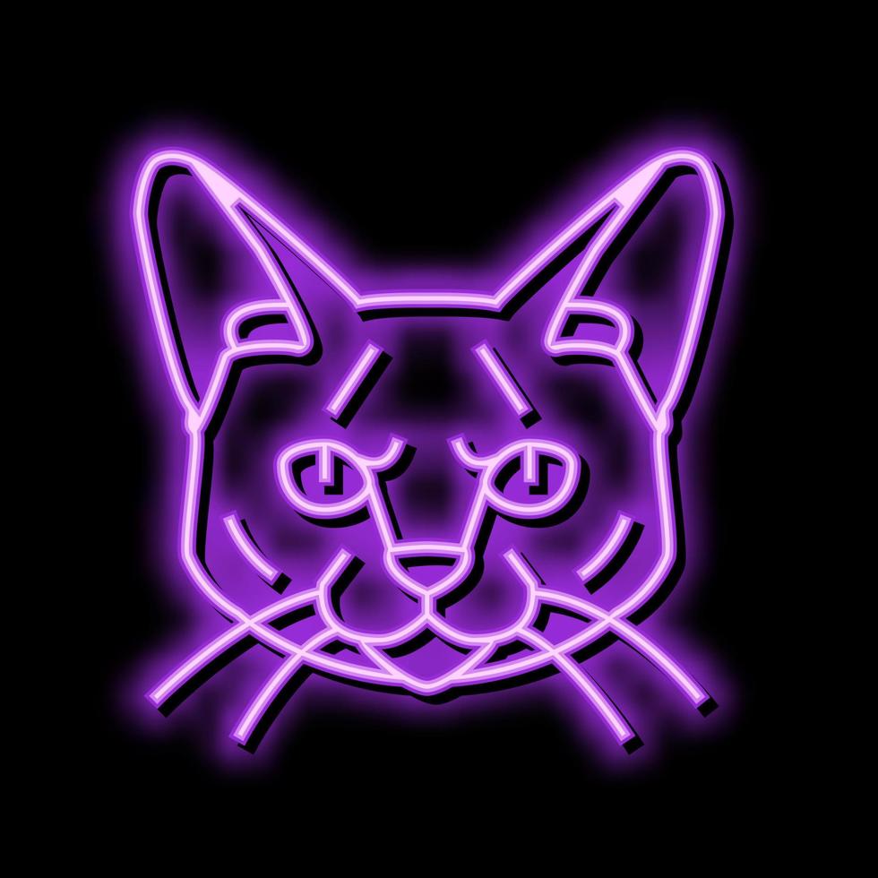 siamese cat cute pet neon glow icon illustration vector