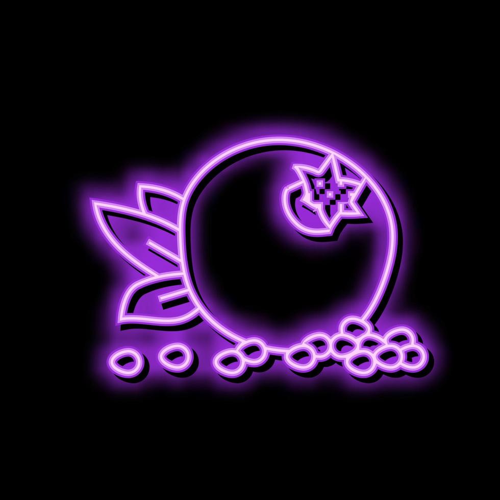 pomegranate whole grain leaf neon glow icon illustration vector