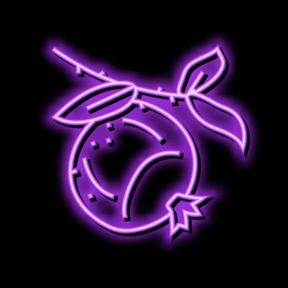 pomegranate branch leaf neon glow icon illustration vector