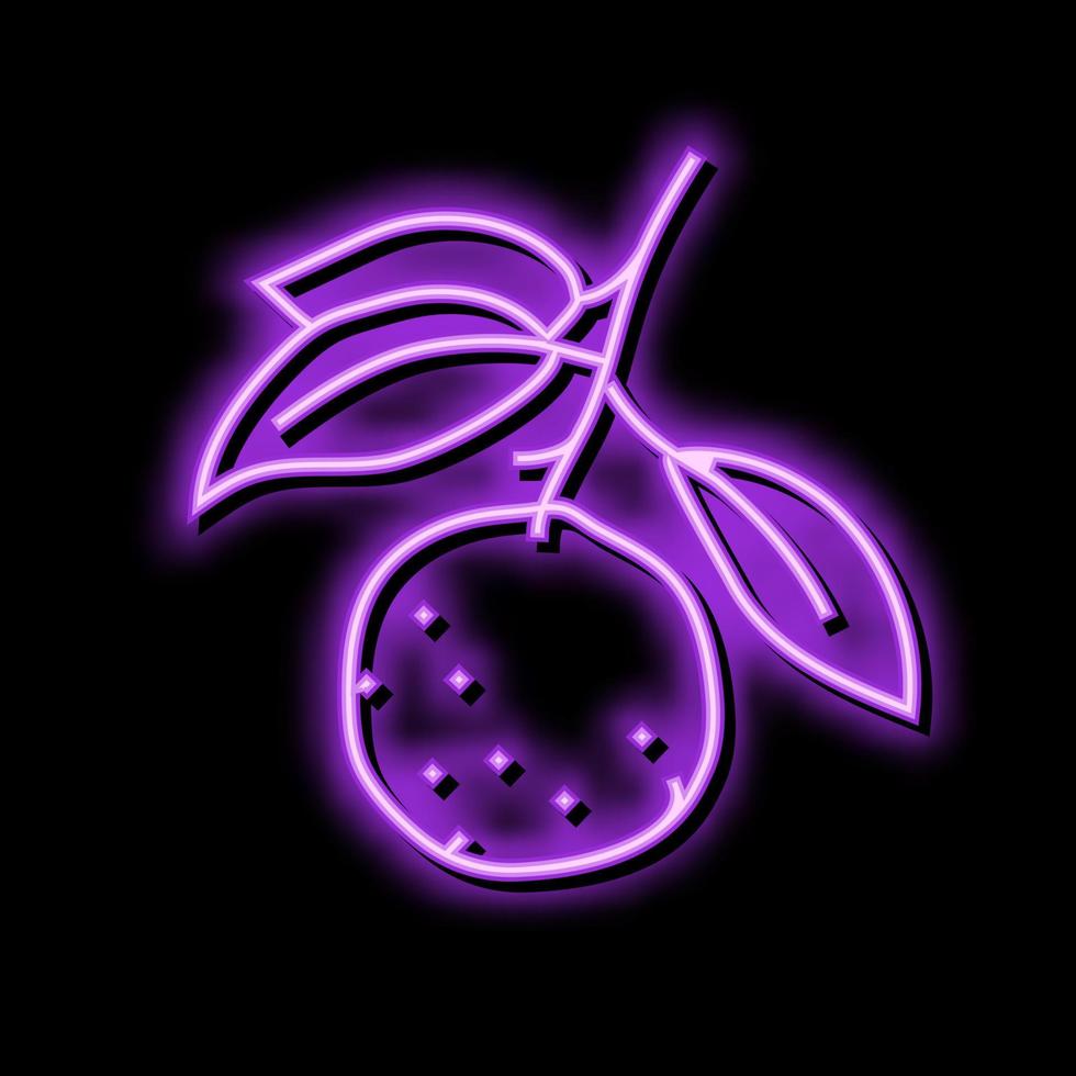 branch mandarin leaf neon glow icon illustration vector