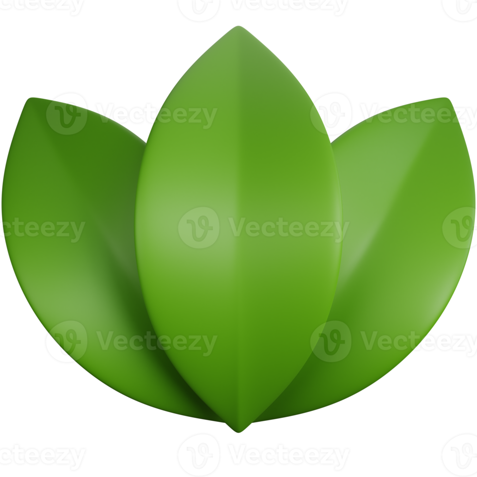 3D Rendering Three Green Leaves Isolated png