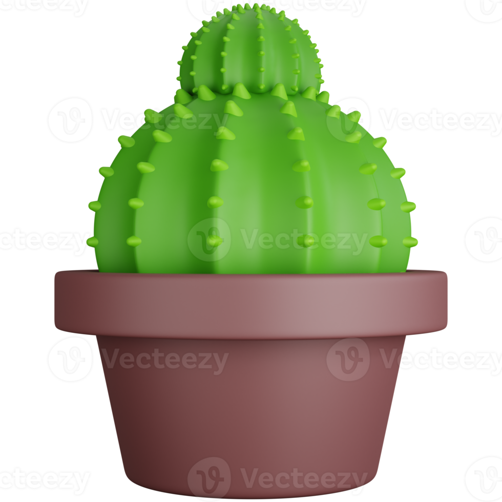 3D Rendering Two Round Cactus Isolated png