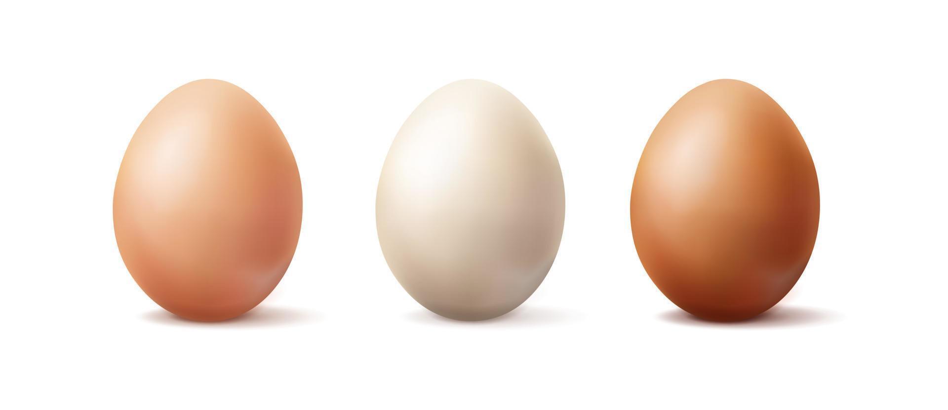 3d realista vector icono ilustración. ligero marrón, marrón y blanco orgánico huevo. aislado en blanco antecedentes.
