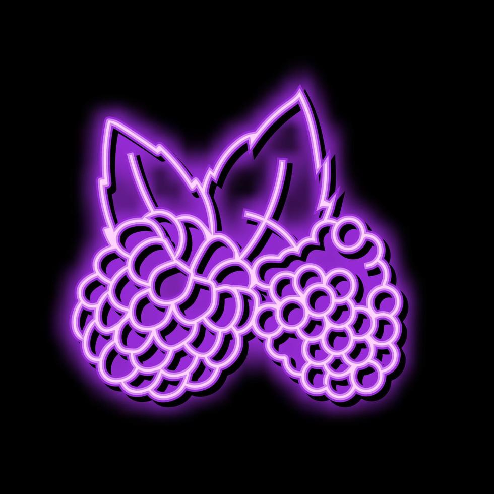 raspberry plant leaf fresh neon glow icon illustration vector