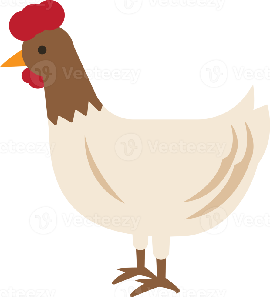 Organic chicken Clean Farming Food design elements png