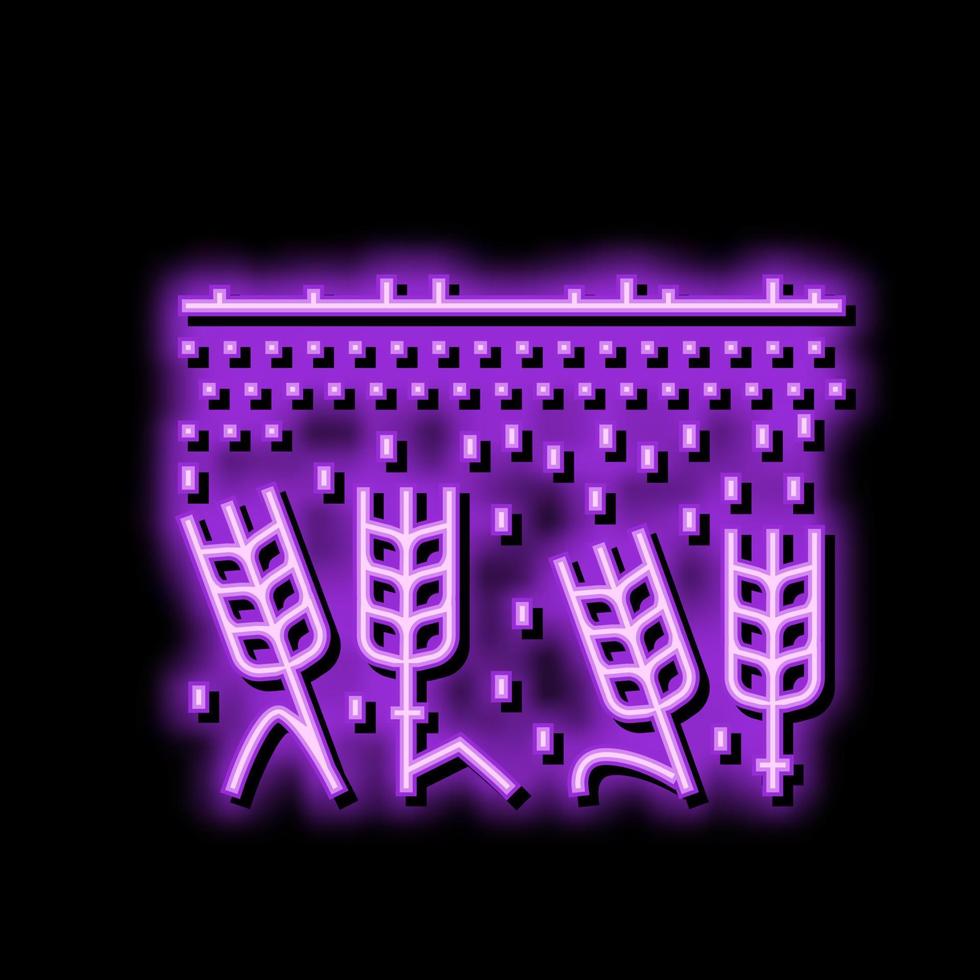 field barley yellow neon glow icon illustration vector