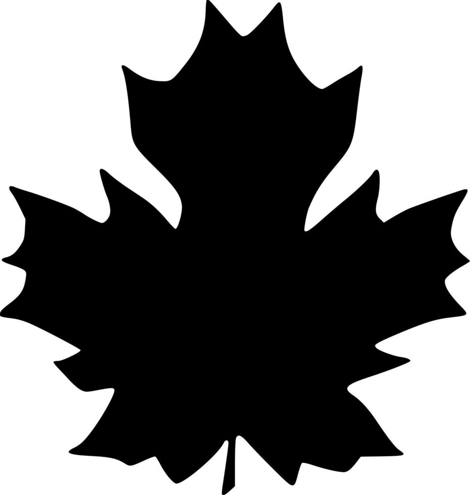vector illustration of leaf icon
